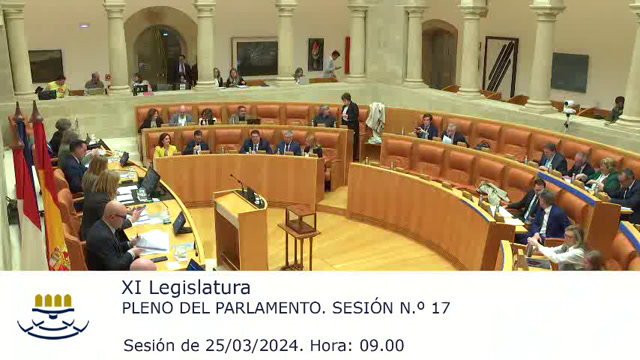 XI Legislatura. Sesión Plenaria N.º 17